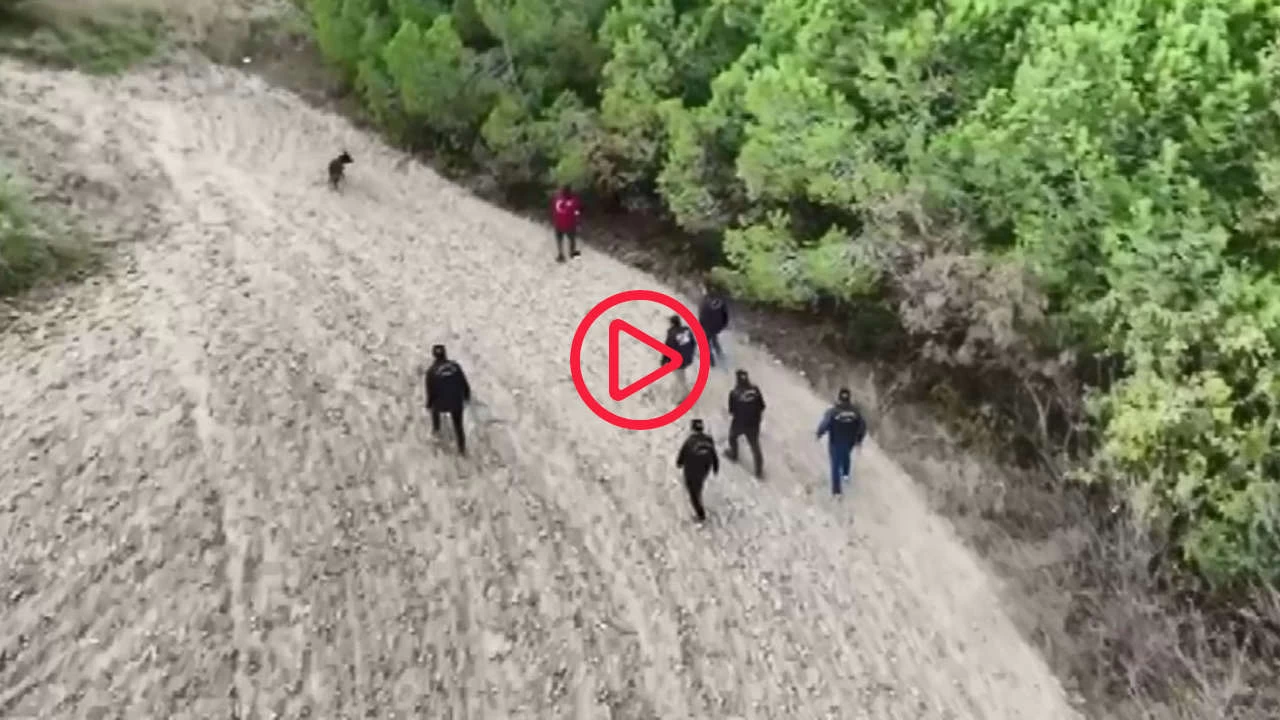 Ormanda kaybolan iş insanının ortağı gözaltına alındı.