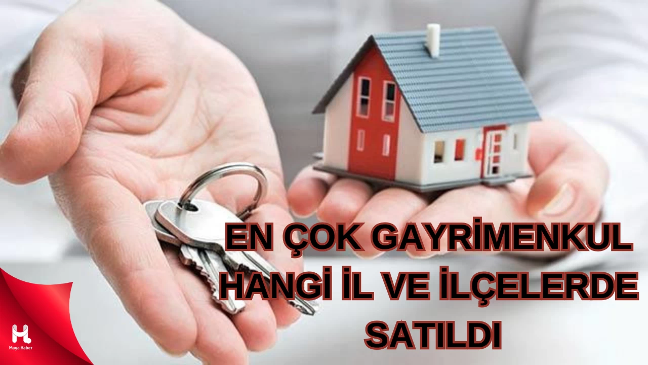 2024'te Gayrimenkul Satışında Zirve: İstanbul ve Şehitkamil Önde