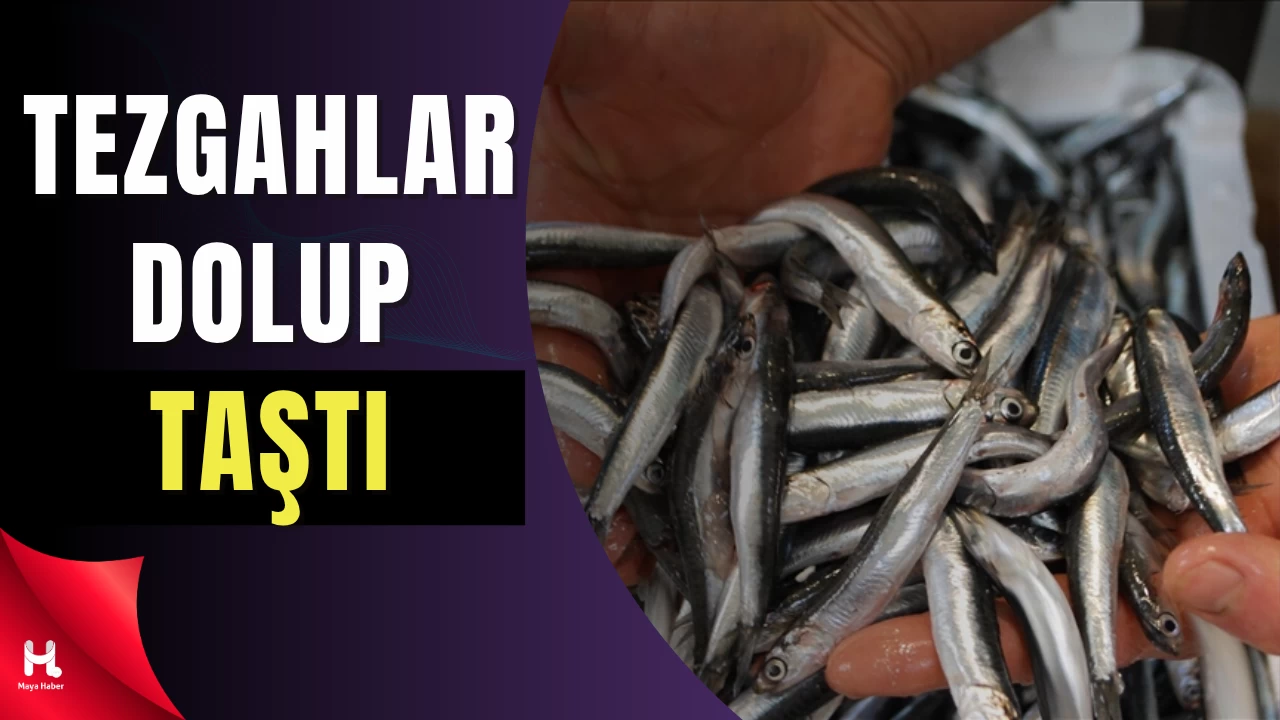 Tezgahlar Dolup Taştı: Fiyatlar Düştü, Kilosu 100 TL