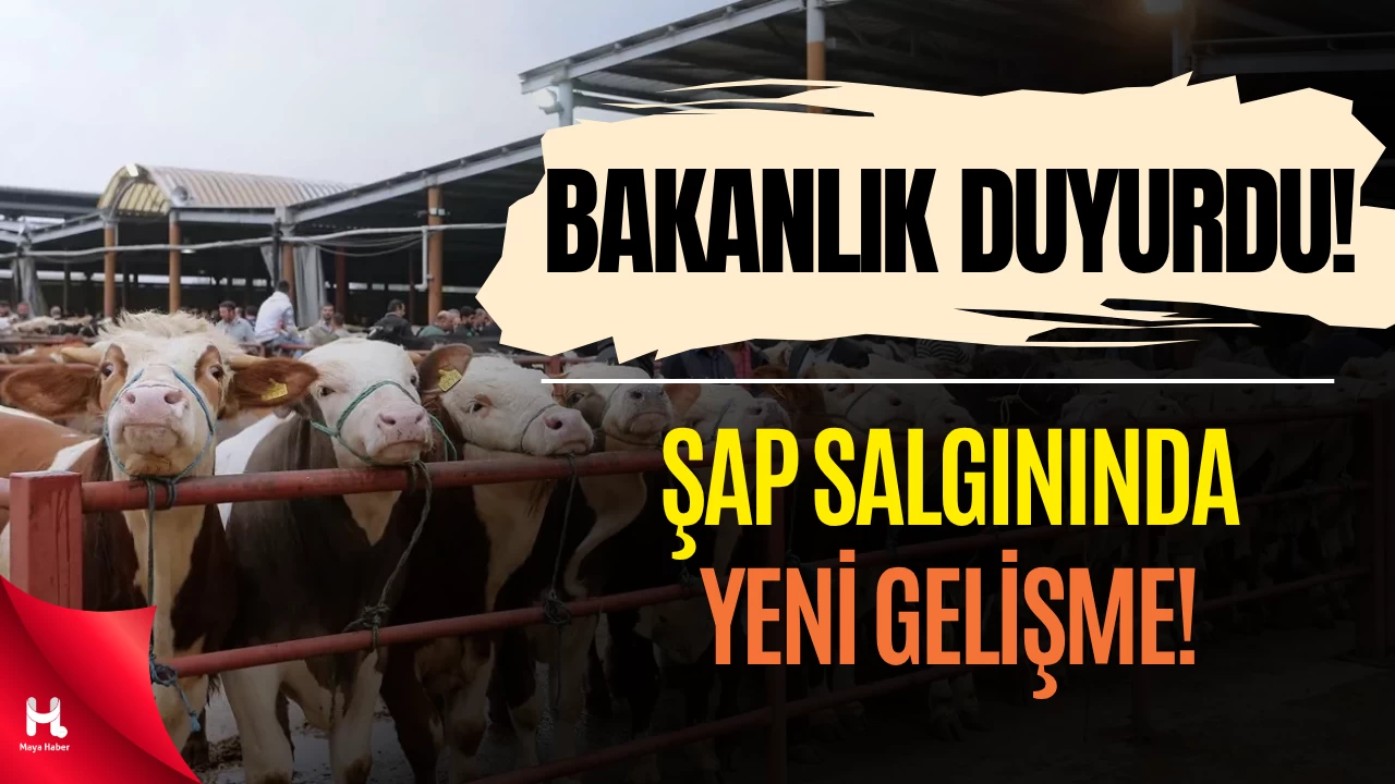 Tarım ve Orman Bakanlığı Şap Salgınıyla Mücadelede Son Durumu Açıkladı