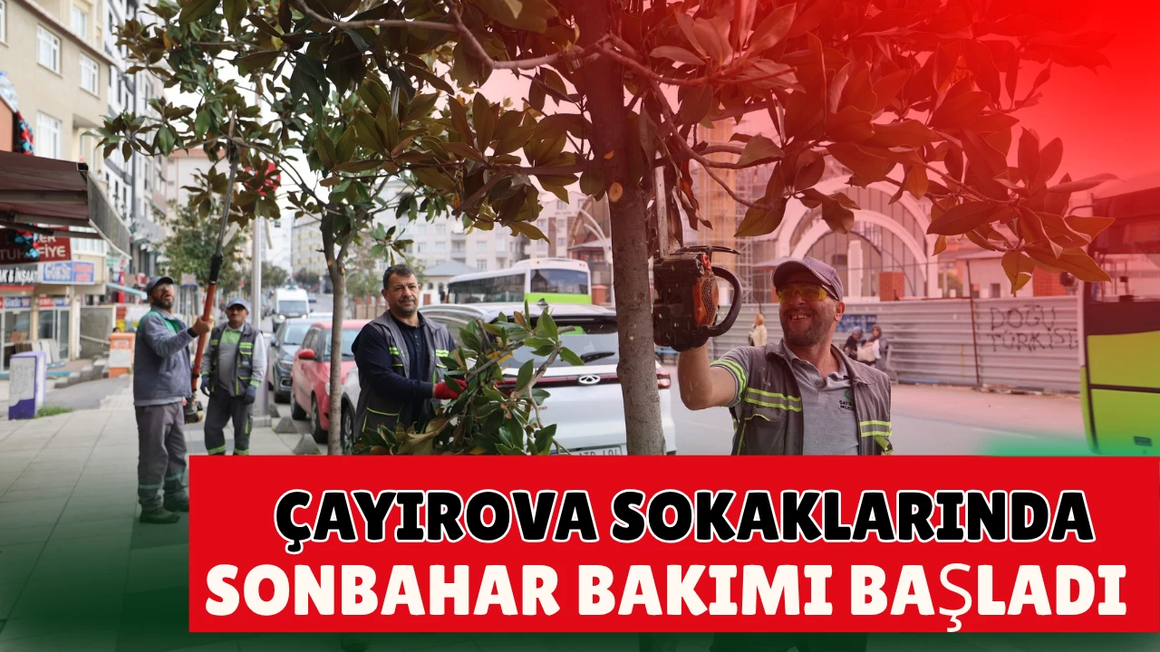 Çayırova’da mevsimlik budama çalışmaları başladı