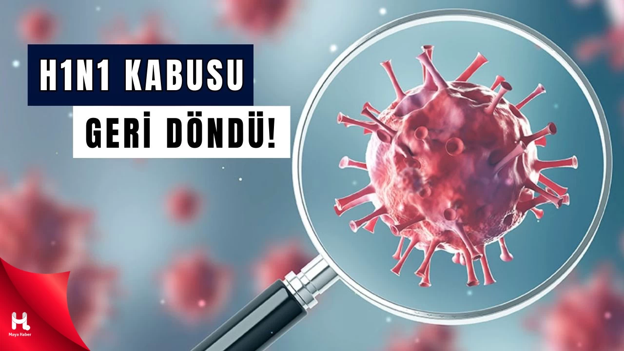 Artan Vakalar Salgını mı İşaret Ediyor?