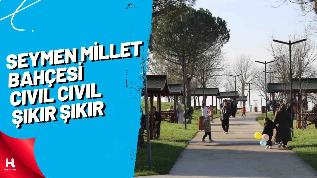 Seymen Millet Bahçesi Cıvıl Cıvıl Şıkır Şıkır