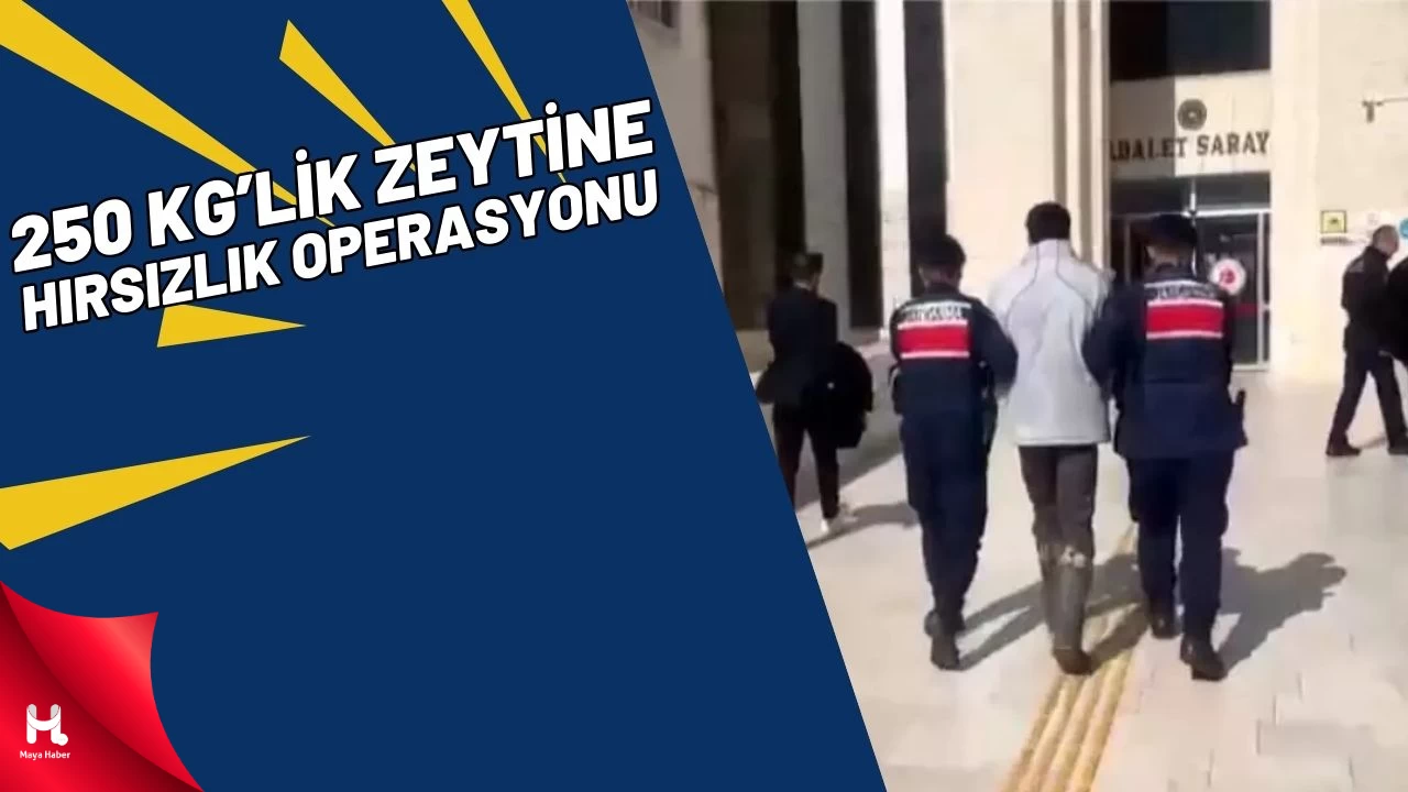Edremit'te Hırsızlık Operasyonu
