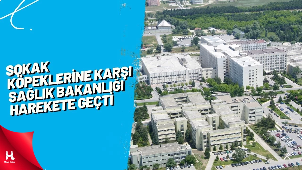 Sokak Köpeklerine Karşı Sağlık Bakanlığı Harekete Geçti