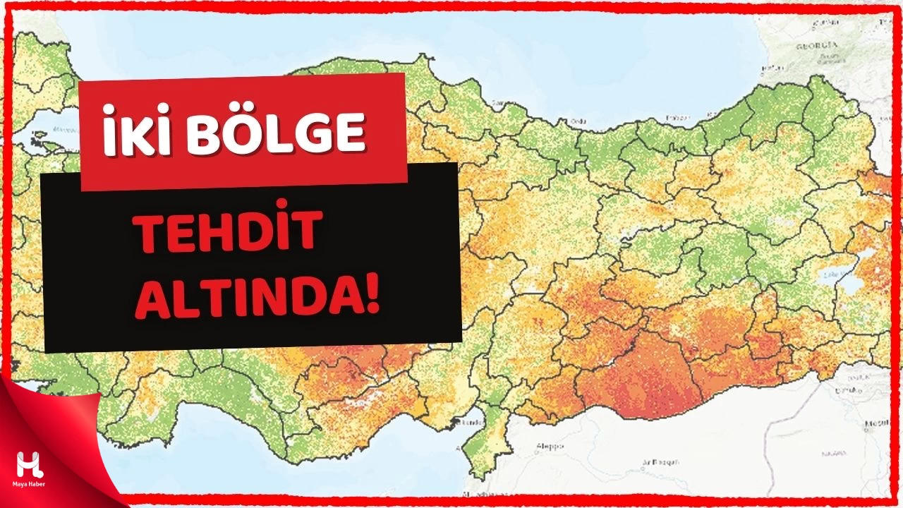 "Çölleşme" Tehdidi Altındaki Alanlar Belirlendi!