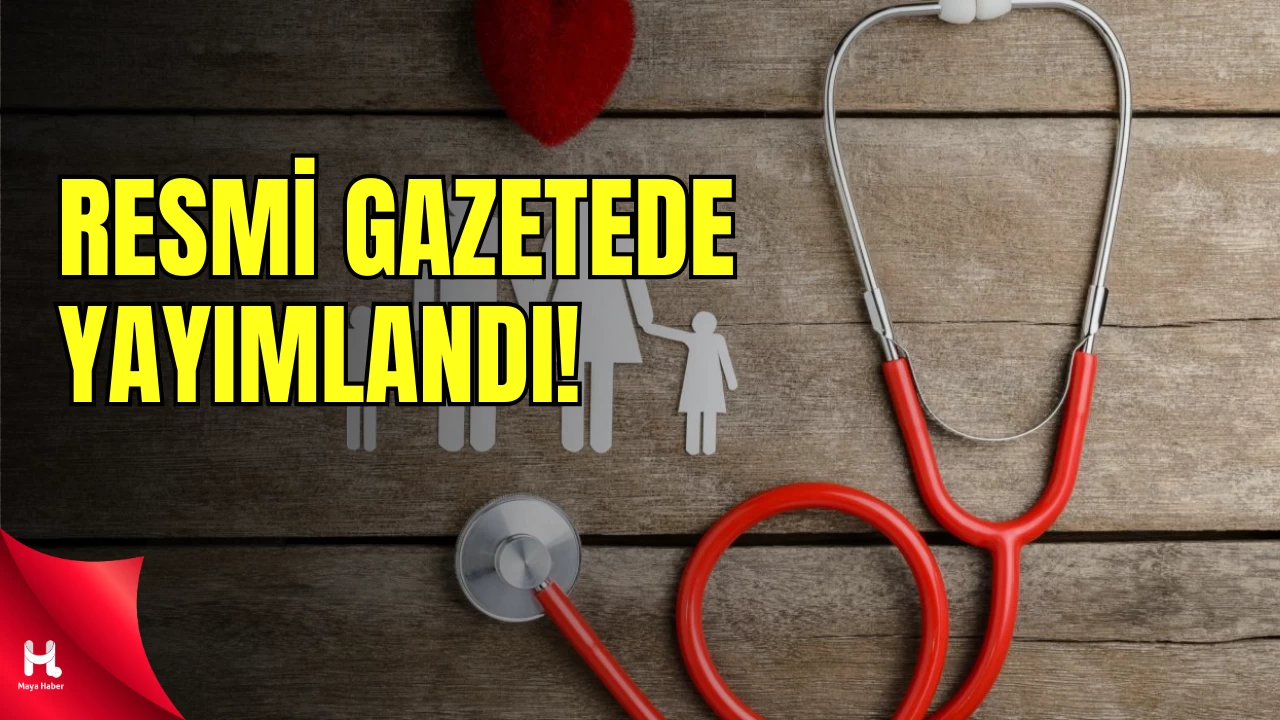 Serbest Meslek Hakkı ve Yeni İstihdam Alanları