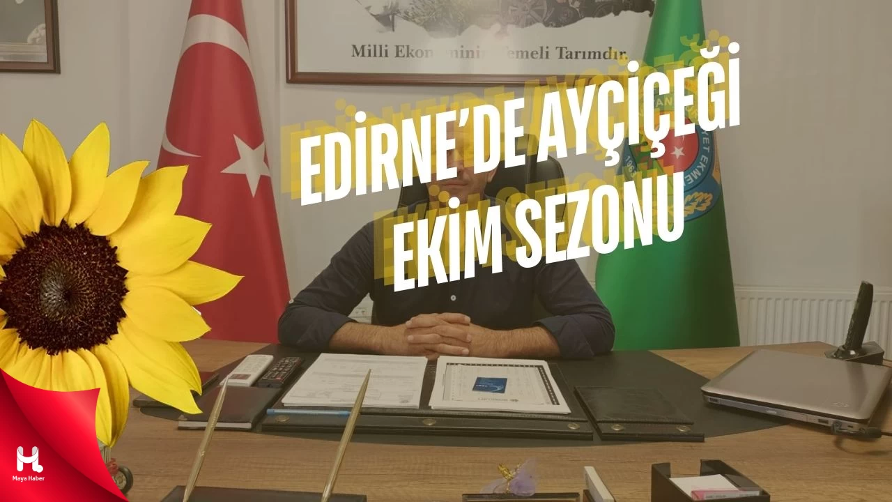 Edirne'de Ayçiçeği Ekim Sezonu Başladı