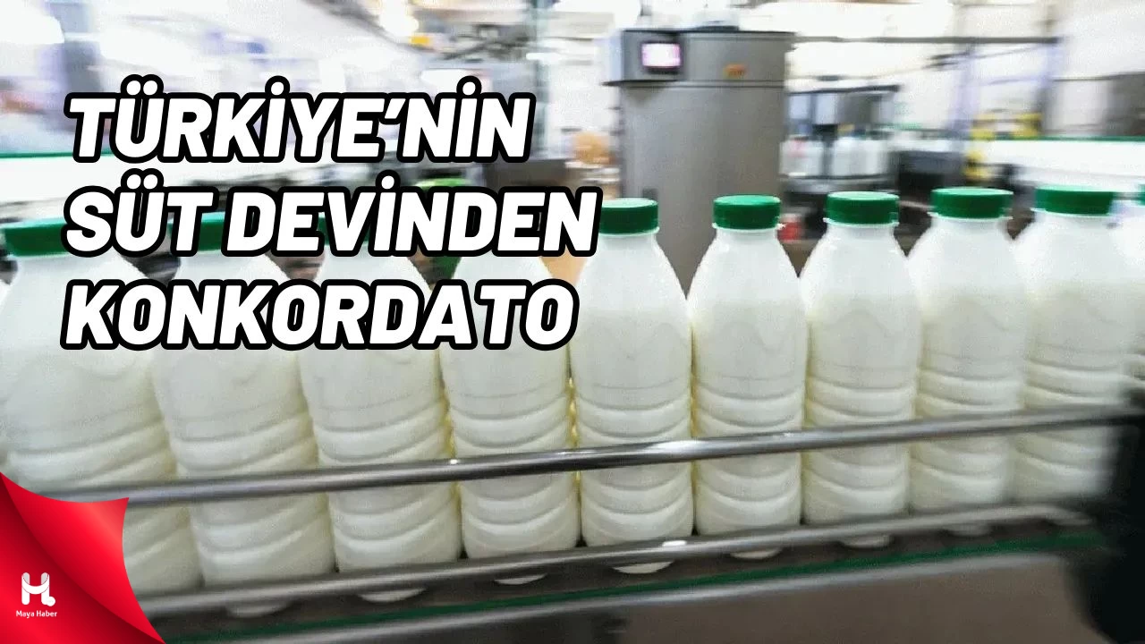 Türkiye'nin 40 Yıllık Süt Devi Konkordato İlan Etti