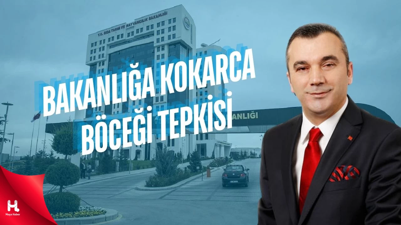 Milletvekili Aydın'dan Bakanlığa Kokarca Böceği Tepkisi