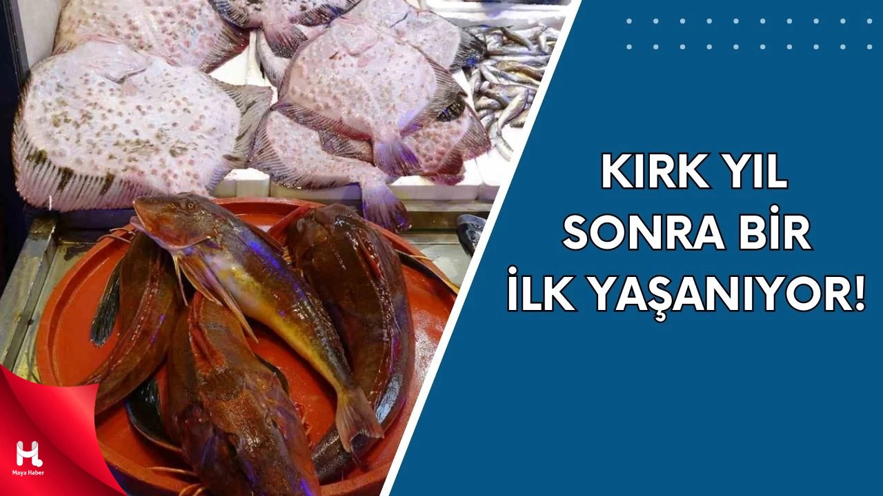 Bu Sezon Başka! Karadeniz’den Gelen Rakamlar Dudak Uçuklattı!
