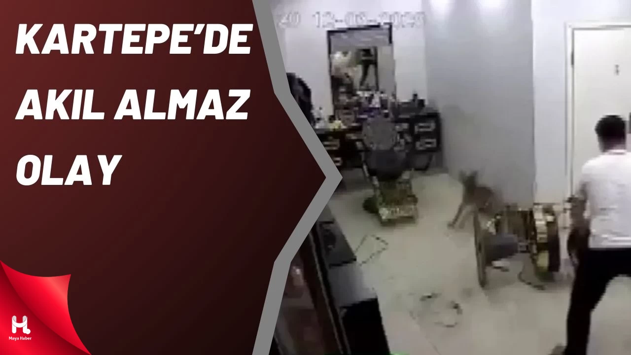 Kartepe'de Zincirini Koparan Köpek Kuaförde Müşteriyi Isırdı