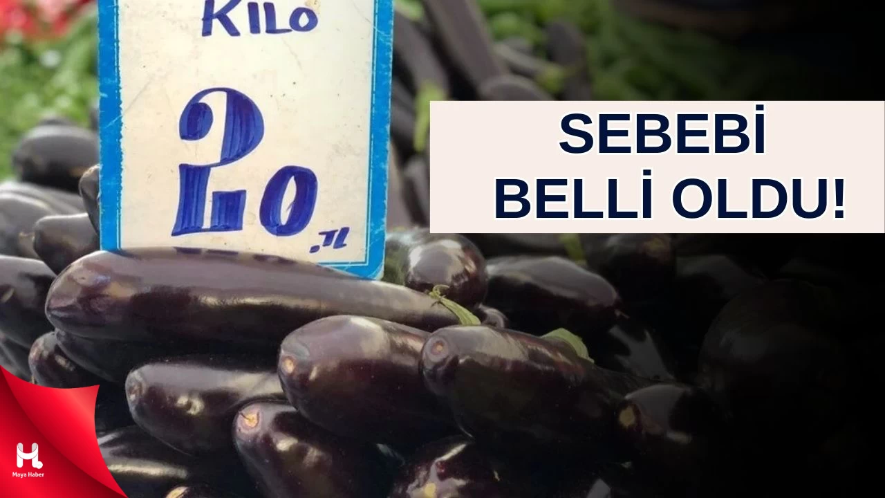 Patlıcan Fiyatları Tavuk Etiyle Yarışıyor!