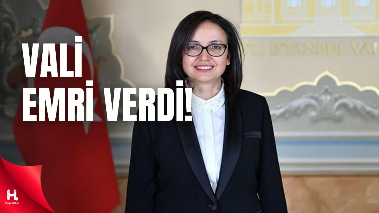 Yalova Valisi Sokakta Yaşayan Köpeklerin Toplatılmasını İstedi