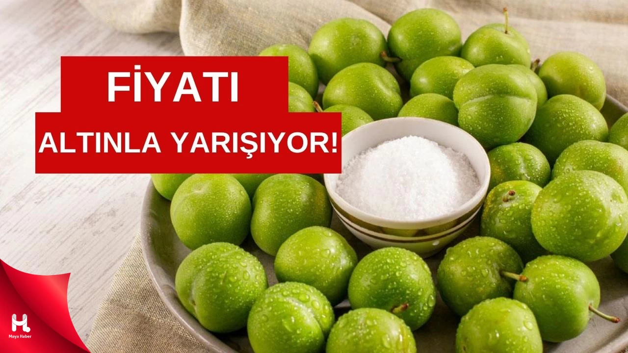 Katar'a Yapılan Erik Satışı Dudak Uçuklattı!
