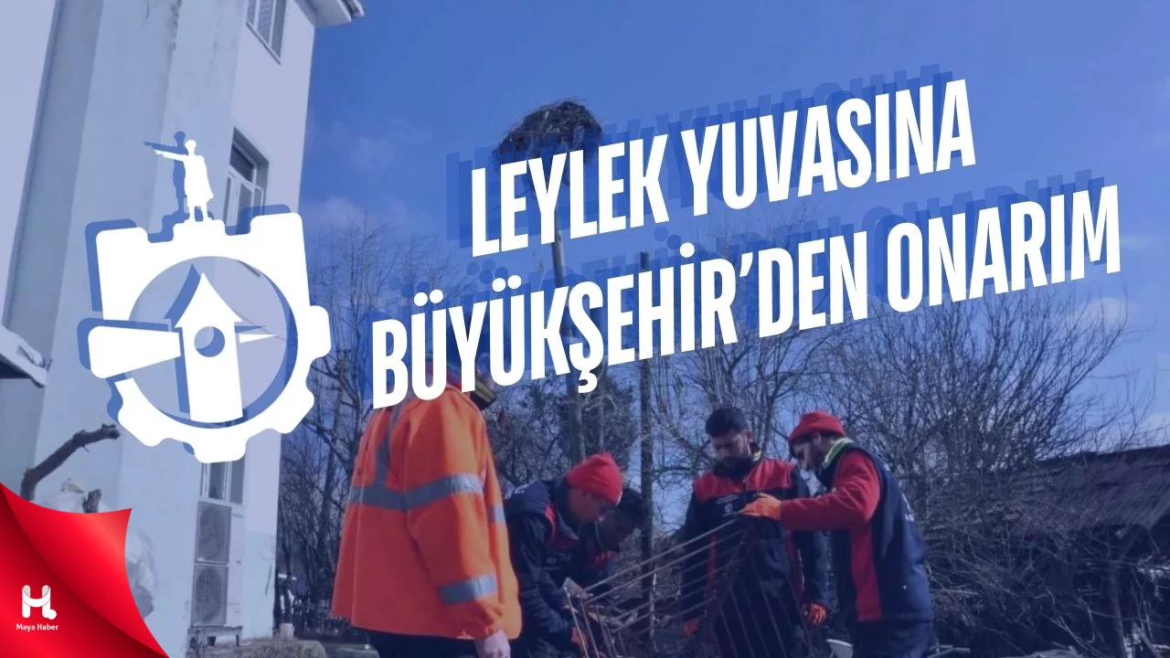 Kandıra'da Leylek Yuvası Kurtarıldı
