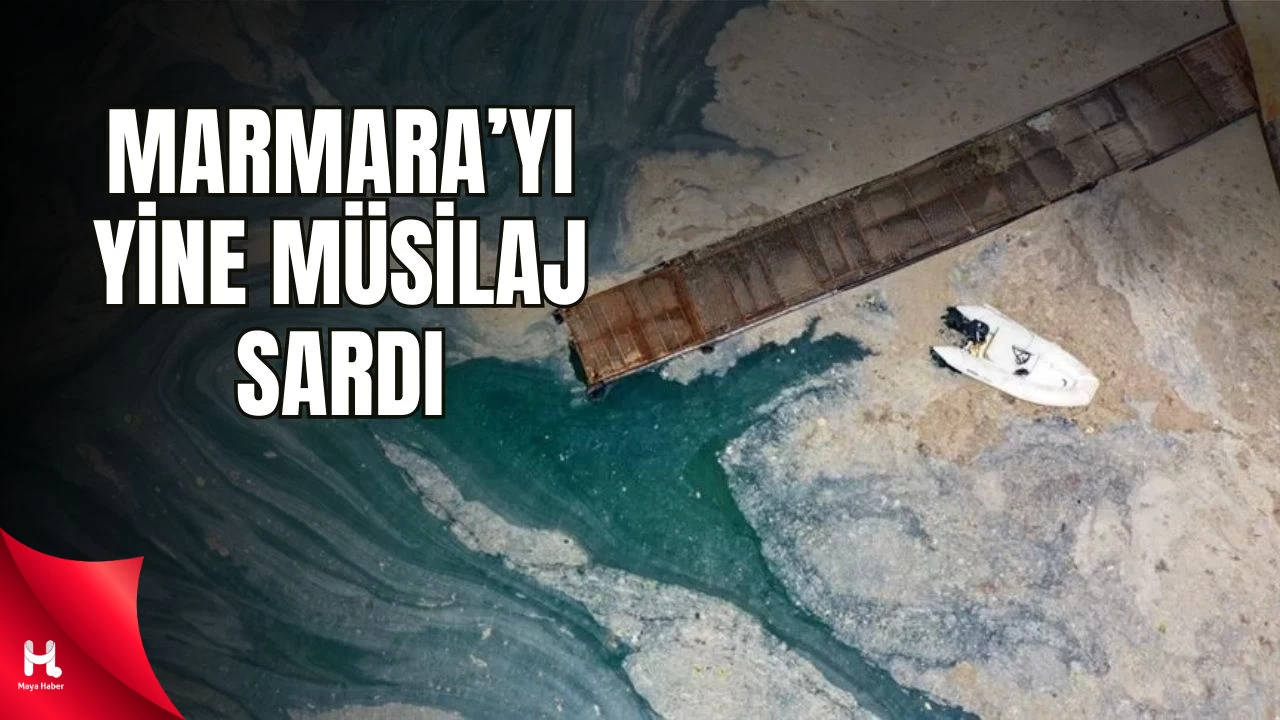 Müsilaj Çanakkale Ve Yalova'yı Sardı