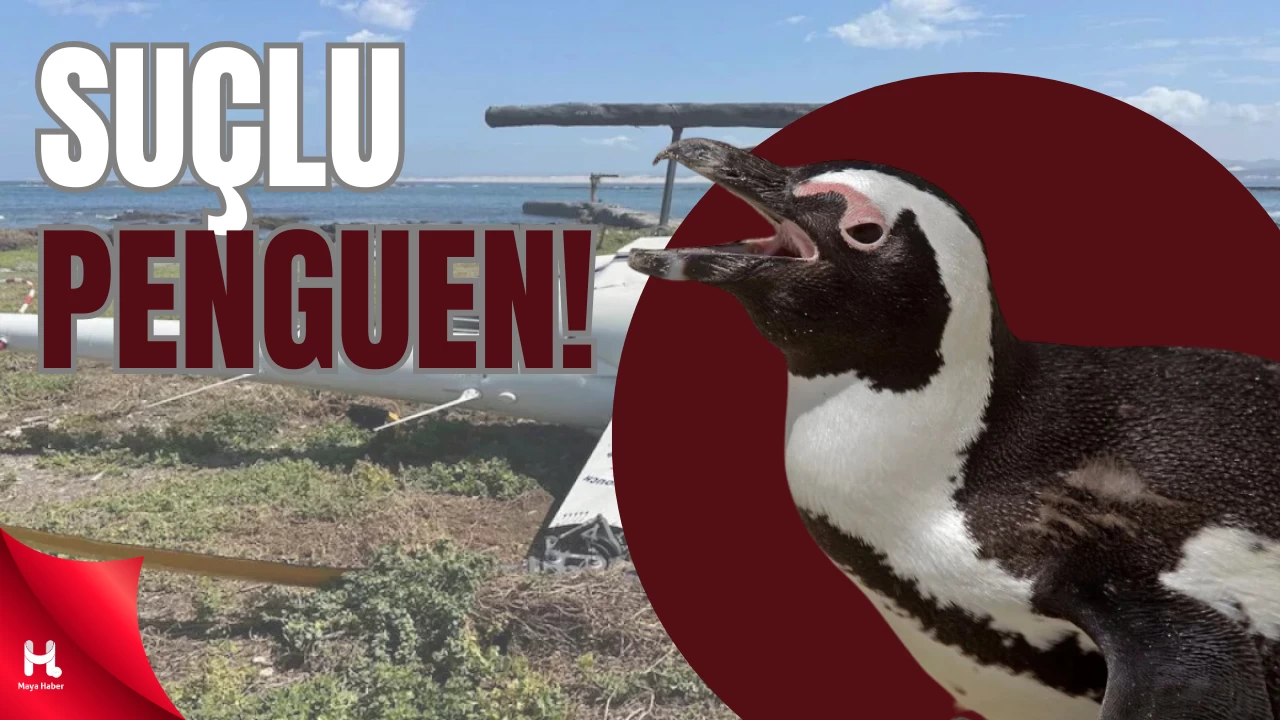 Kaza Raporu Şaşırttı!