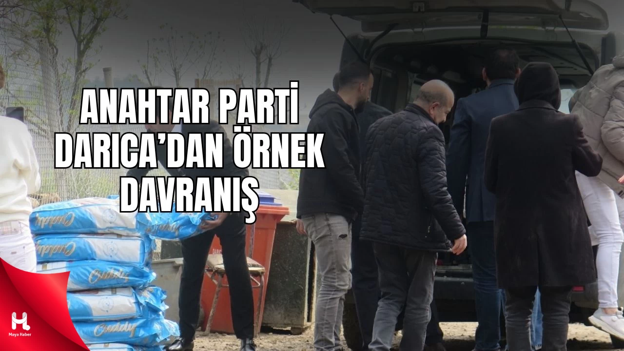 Anahtar Parti Darıca’dan Sokak Hayvanlarına Anlamlı Destek