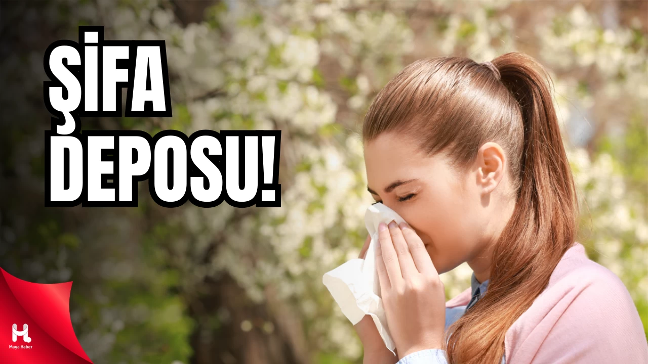 Alerji Mevsimine Doğal Çözüm!