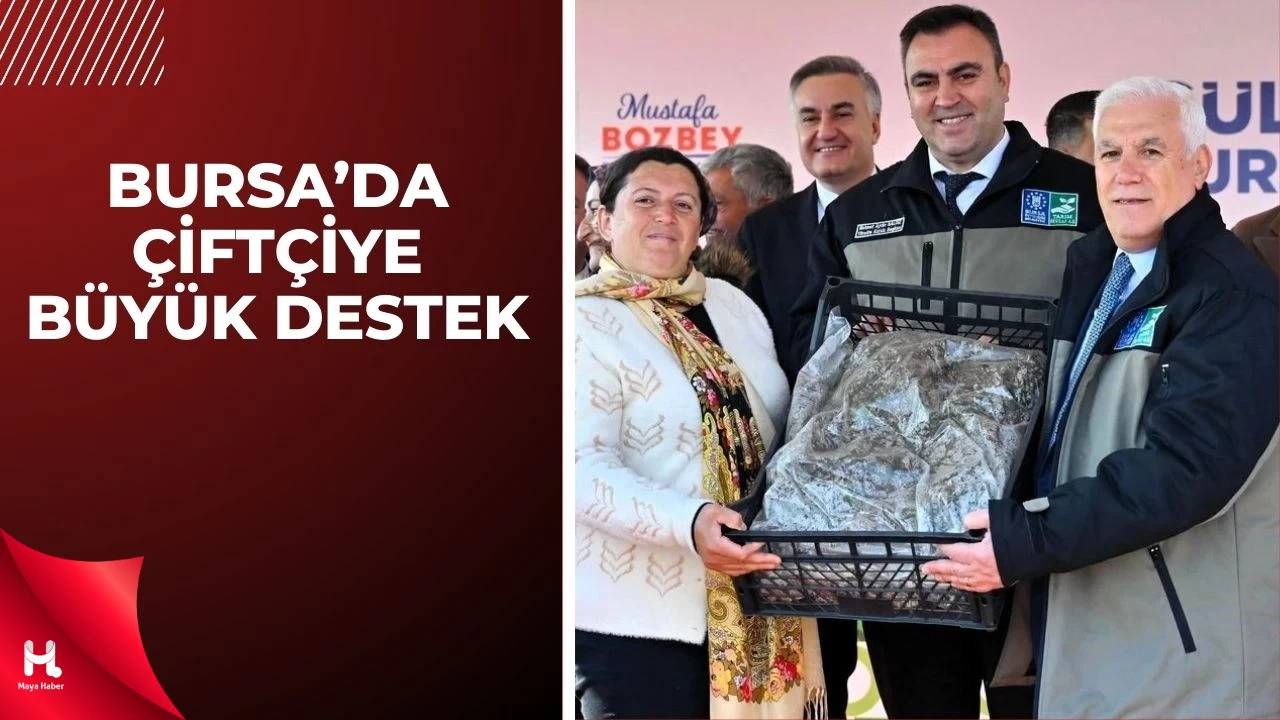 1 Milyon 222 Bin Çilek Fidesi Dağıtıldı