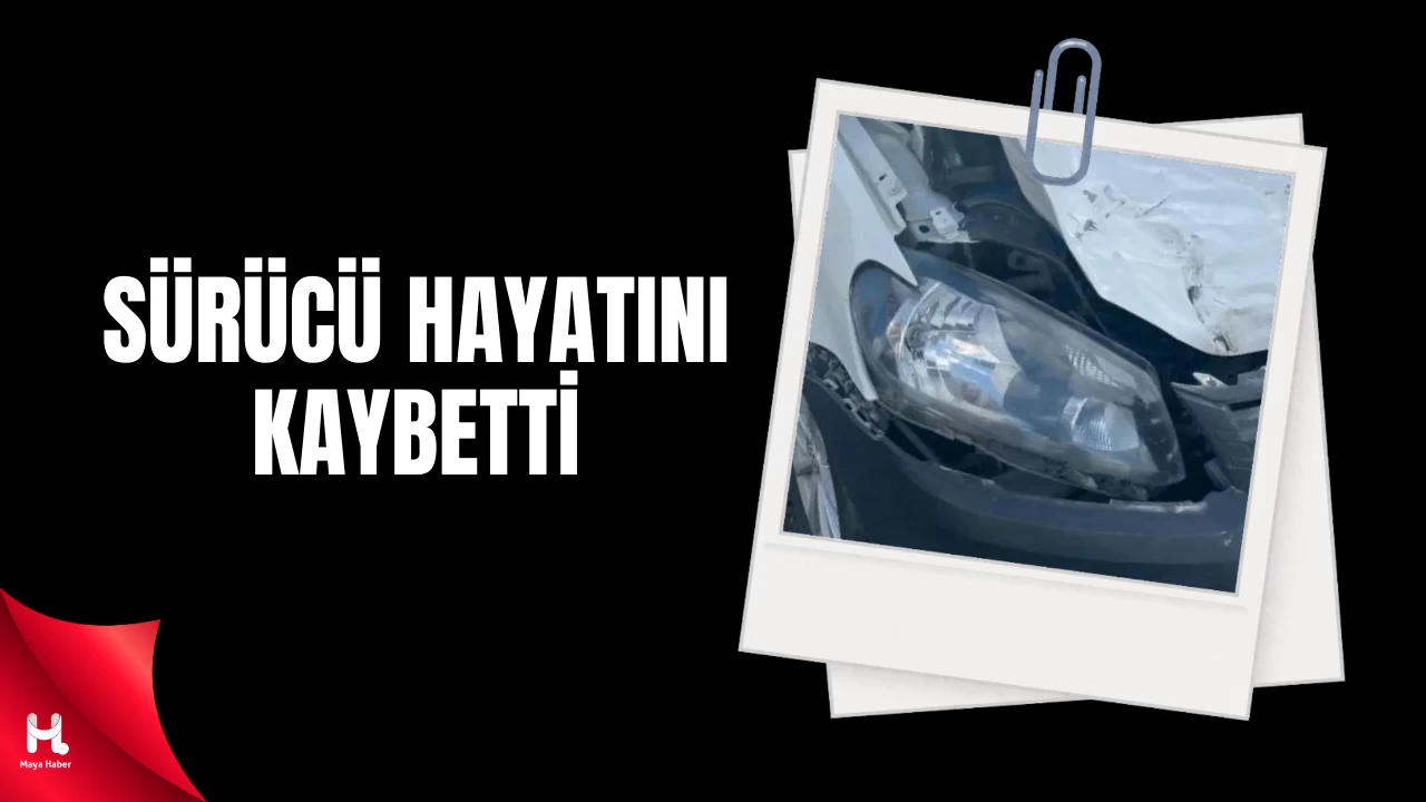 Şanlıurfa’da Yola Aniden Çıkan İneğe Çarpan Sürücü Öldü