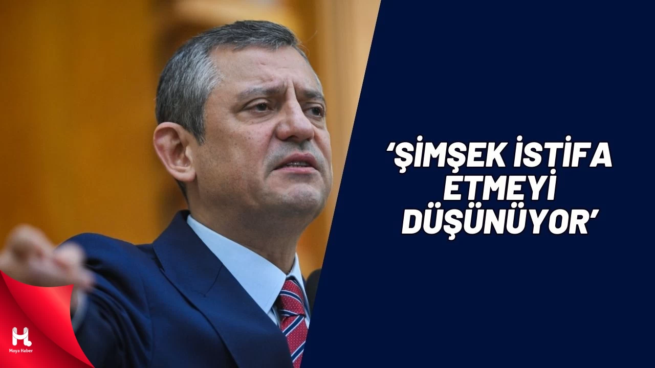 Özgür Özel: Yeni Şafak Mehmet Şimşek'e Odunla Vurdu