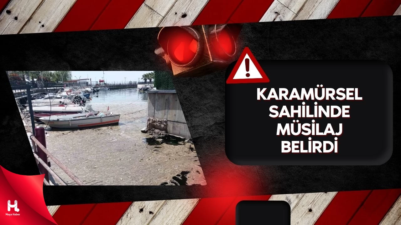 Karamürsel Sahili Müsilajla Kaplandı