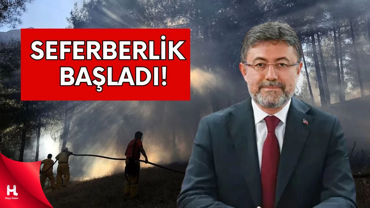 Ormanlar Yüksek Sıcak Nedeniyle Tehdit Altında!