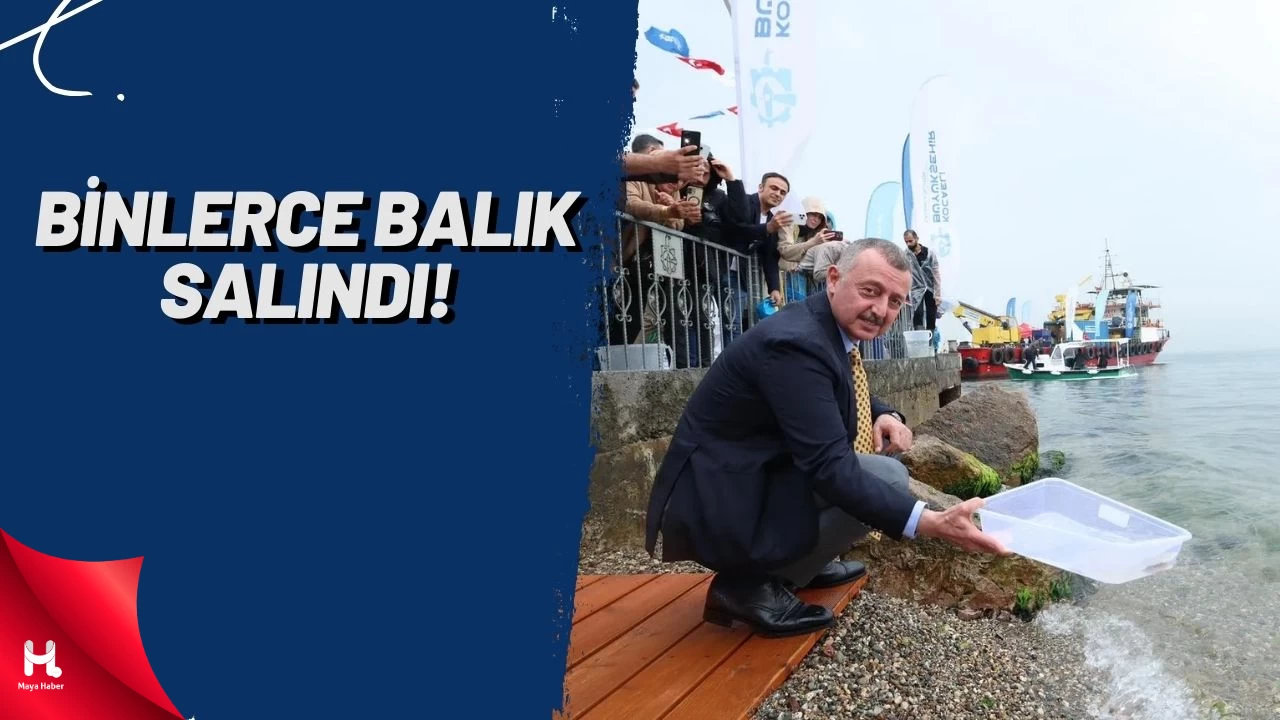 İzmit Körfezi’ne 6 Bin Yavru Balık Salındı, 100 Yapay Resif Bırakıldı