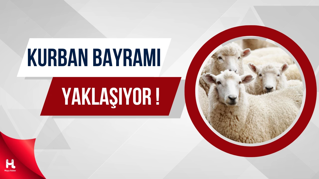 " Kurban Bayramı Yaklaşırken Fiyatlar El Yakıyor! "