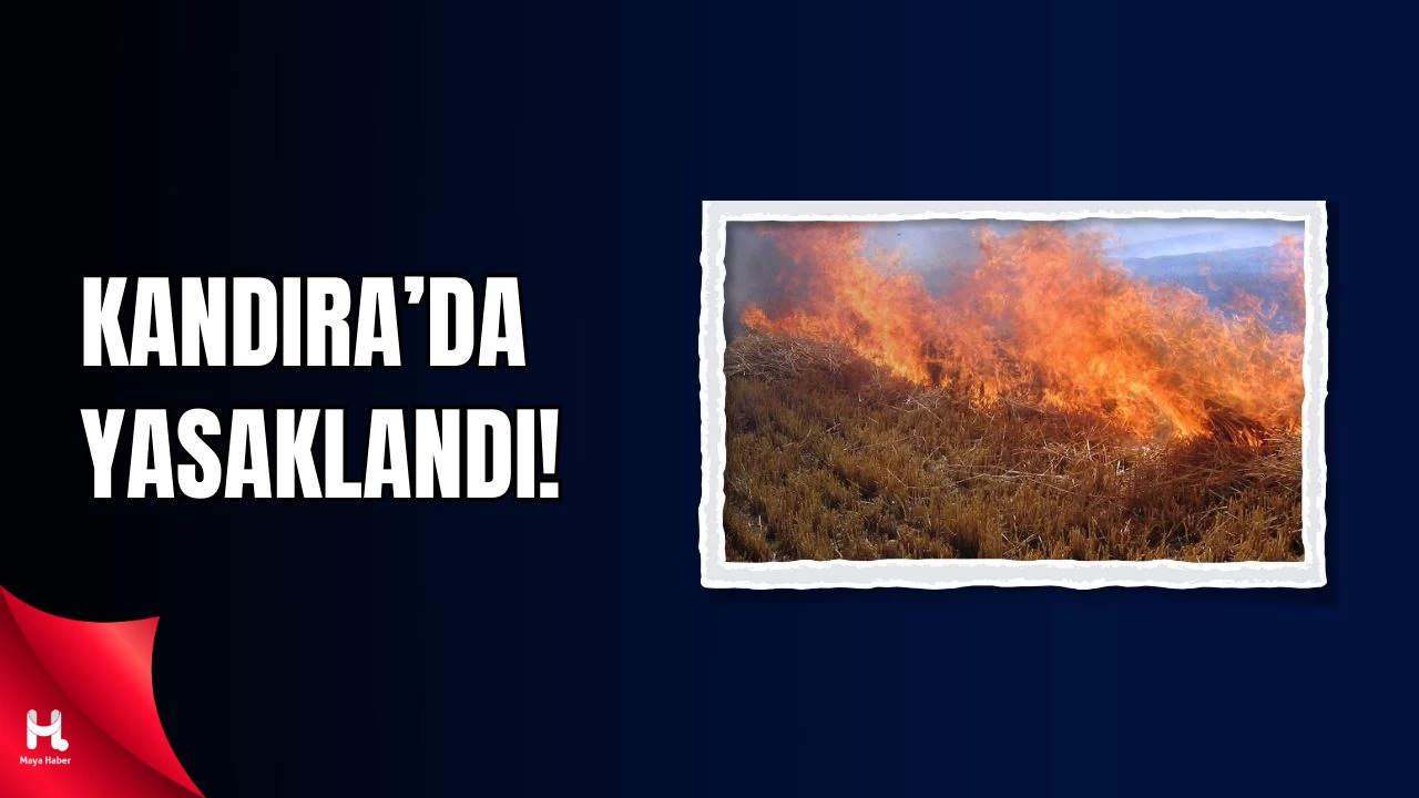 Kandıra’da Ormanlarda Ateş ve Anız Yakmak Yasaklandı