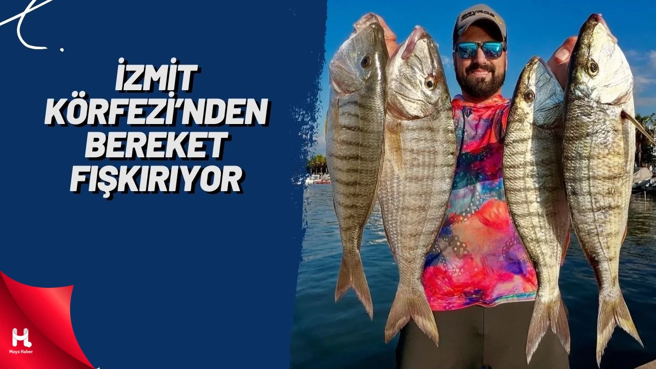 İzmit Körfezi'nde Temizlik Çalışmaları Meyvesini Verdi