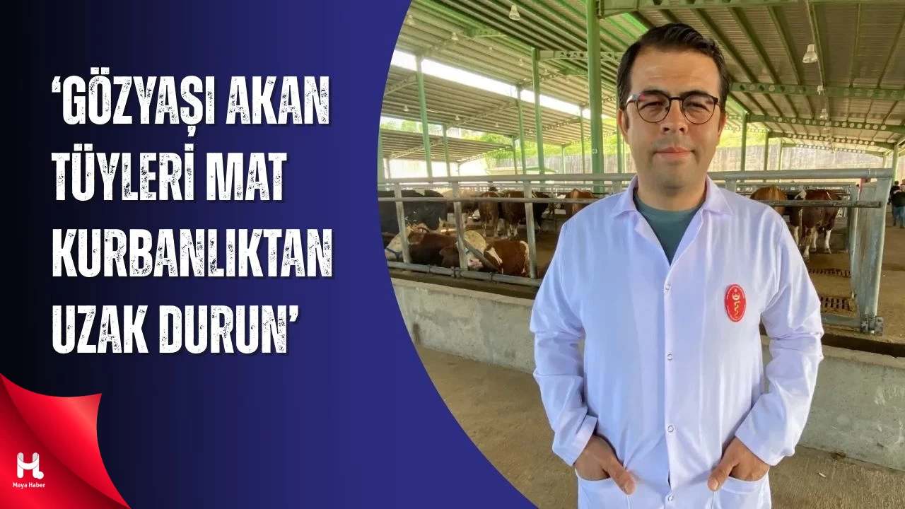 Kocaeli Veteriner Hekimler Odası Başkanı Uyardı