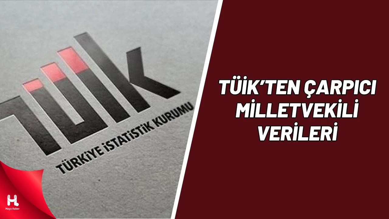 Temsil Ettiği İlde Doğan Vekil Oranı En Düşük Büyükşehir Kocaeli!