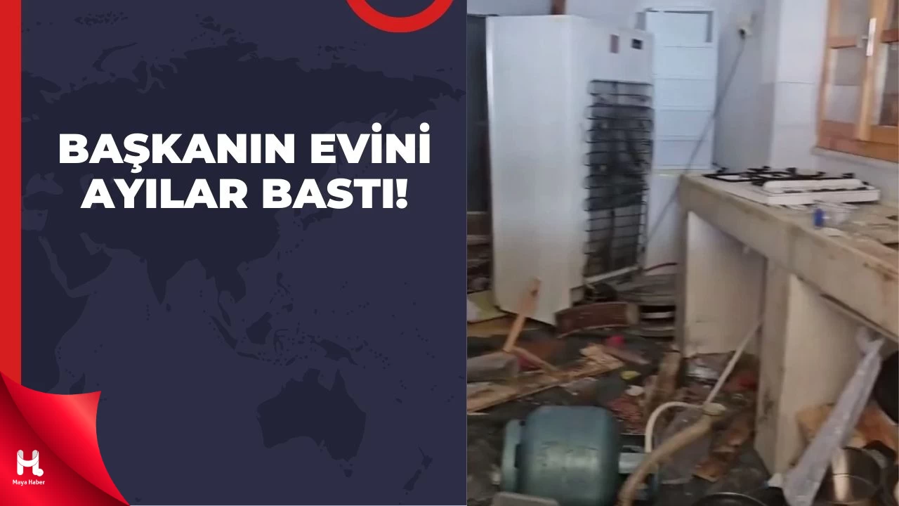 Belediye Başkanının Yayla Evine Ayı Baskını