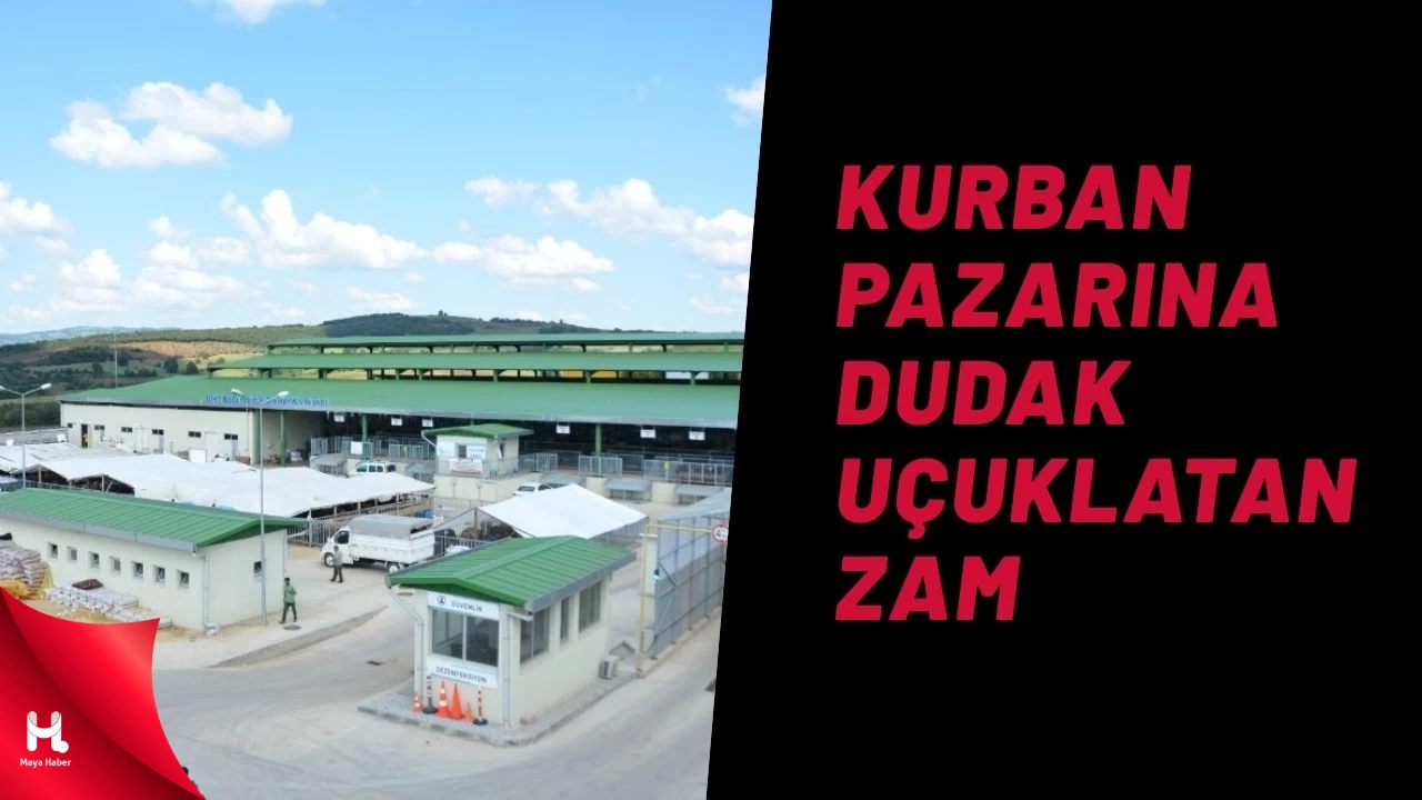 İzmit Belediyesi’nden Kurban Pazarına Yüzde 182 Zam