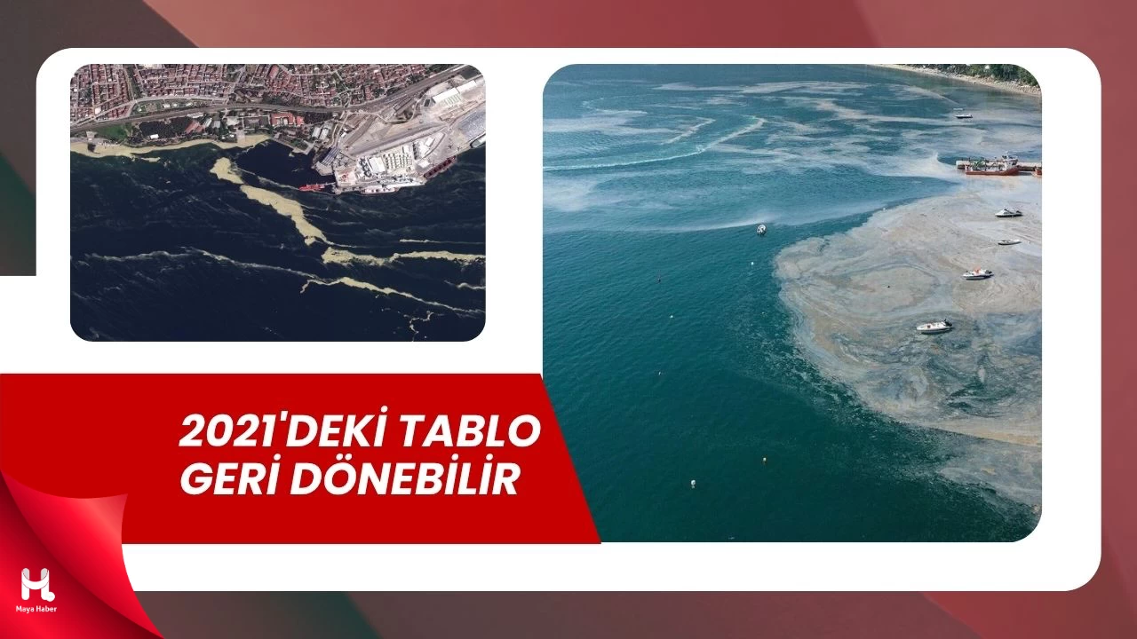 Marmara Denizi'nde Müsilaj Tehdidi!