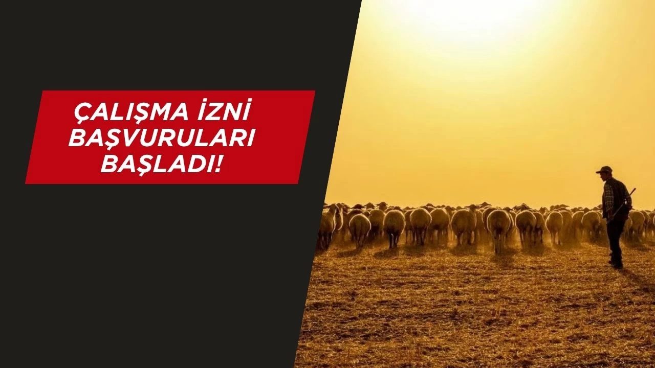 Hayvancılığa "yabancı çoban" Desteği!