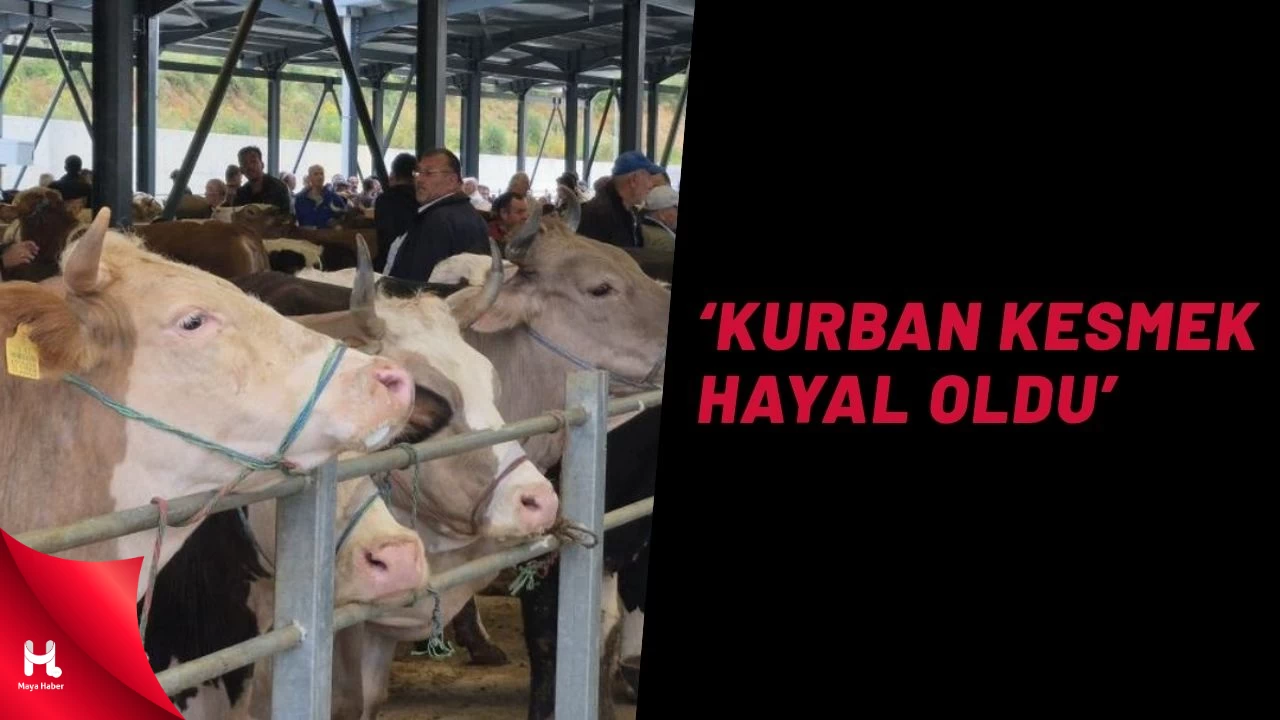 'Kurban Bayramı’nda Et Değil, Yoksulluk Konuşuluyor'