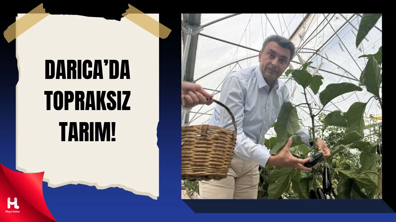 Darıca'da Tarımda Yeni Dönem: Volkanik Cüruf Kullanılıyor