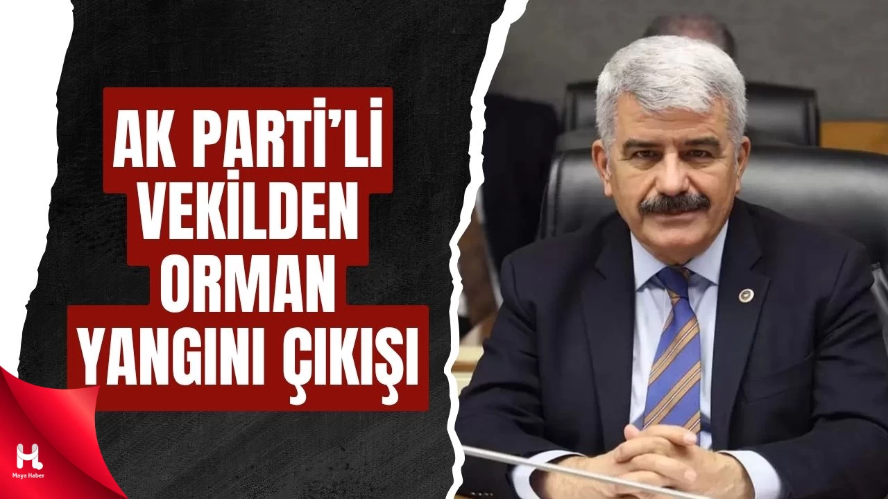 'Ormanlarda Yangın Çıkartanlar Vatan Hainliğinden Yargılanmalı'