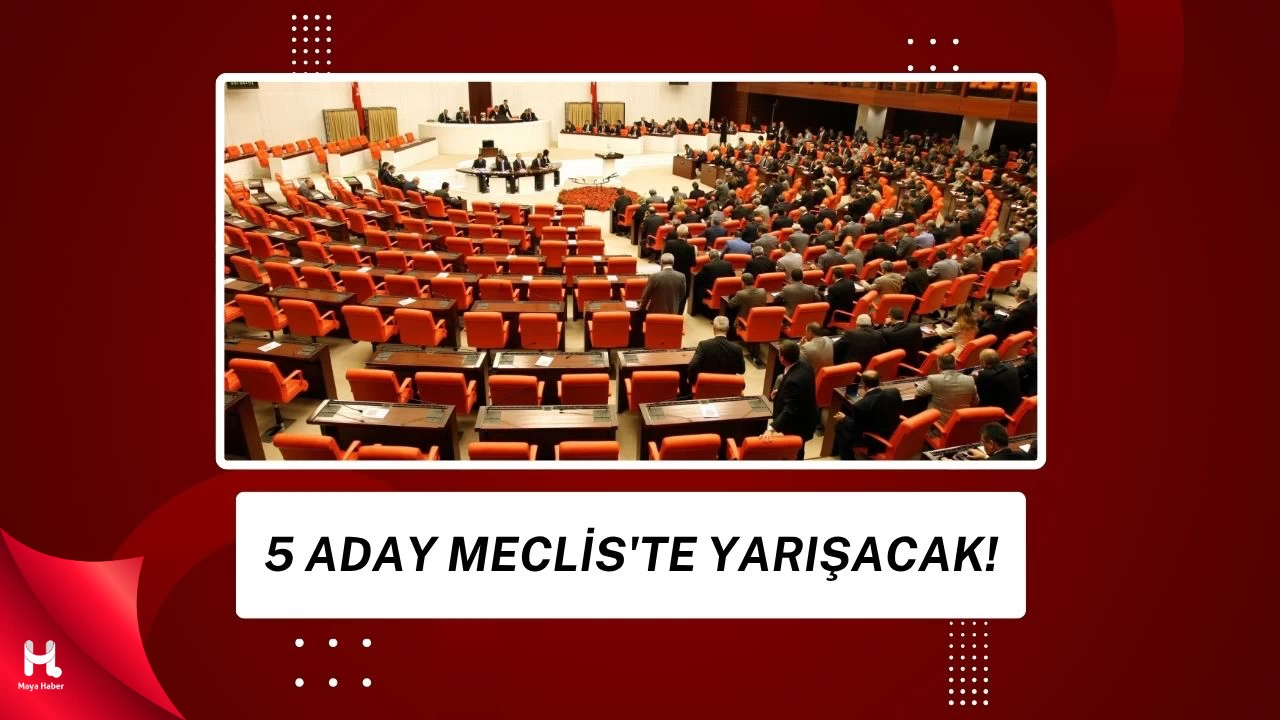 Adım Adım TBMM Başkanlık Seçimine...