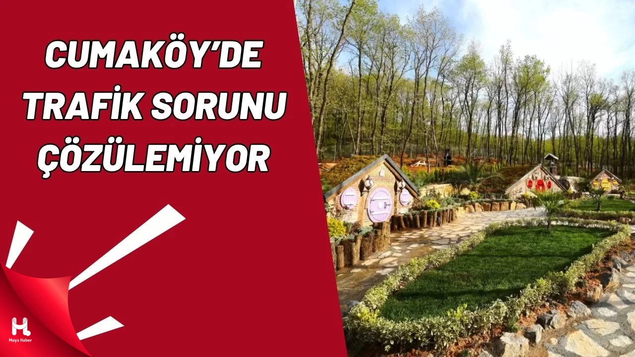 Cumaköy Mesire Alanı Eziyete Döndü: Otopark Sorunu Çözülmüyor