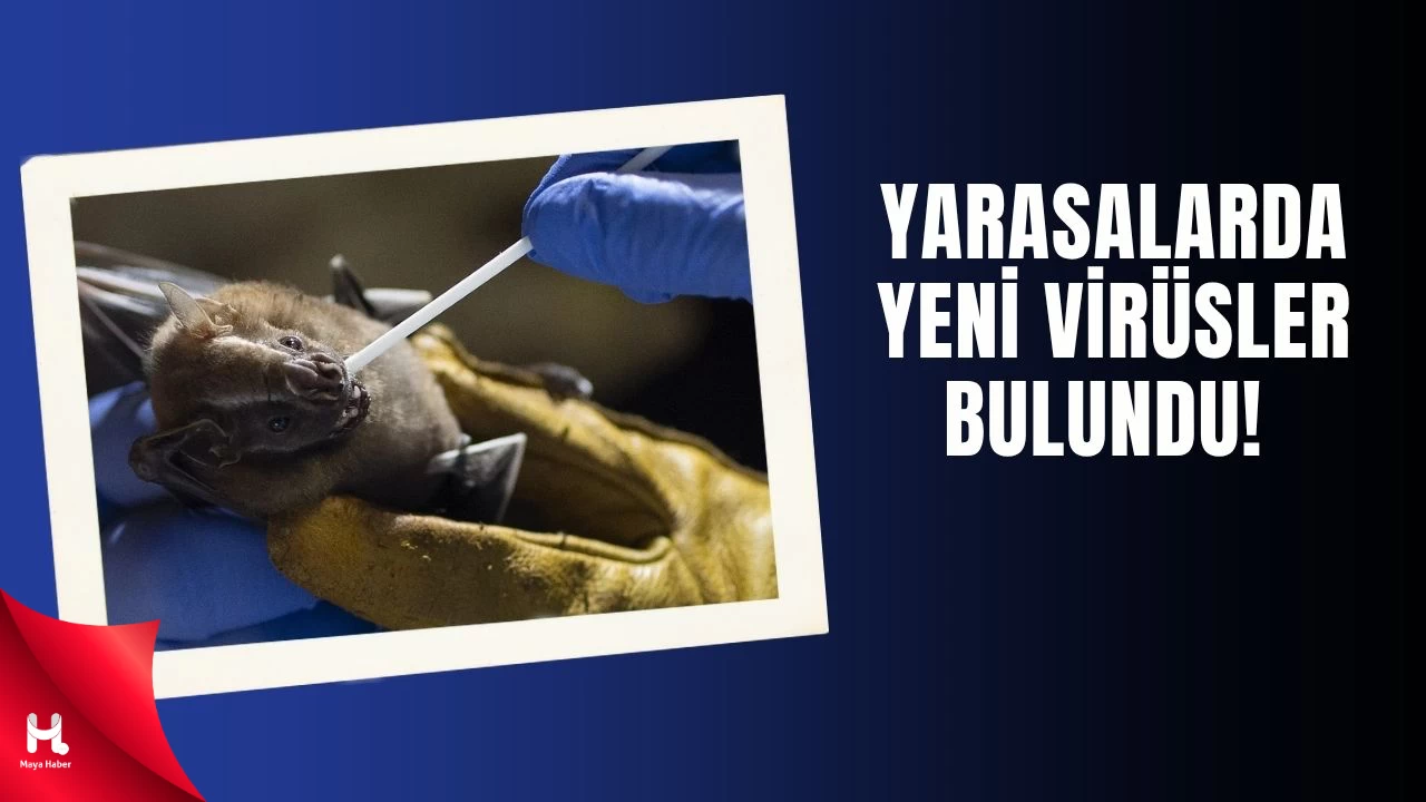 Ölüm Oranı Yüzde 75'e Varıyor: Başka Bir Pandemi Mi Geliyor?