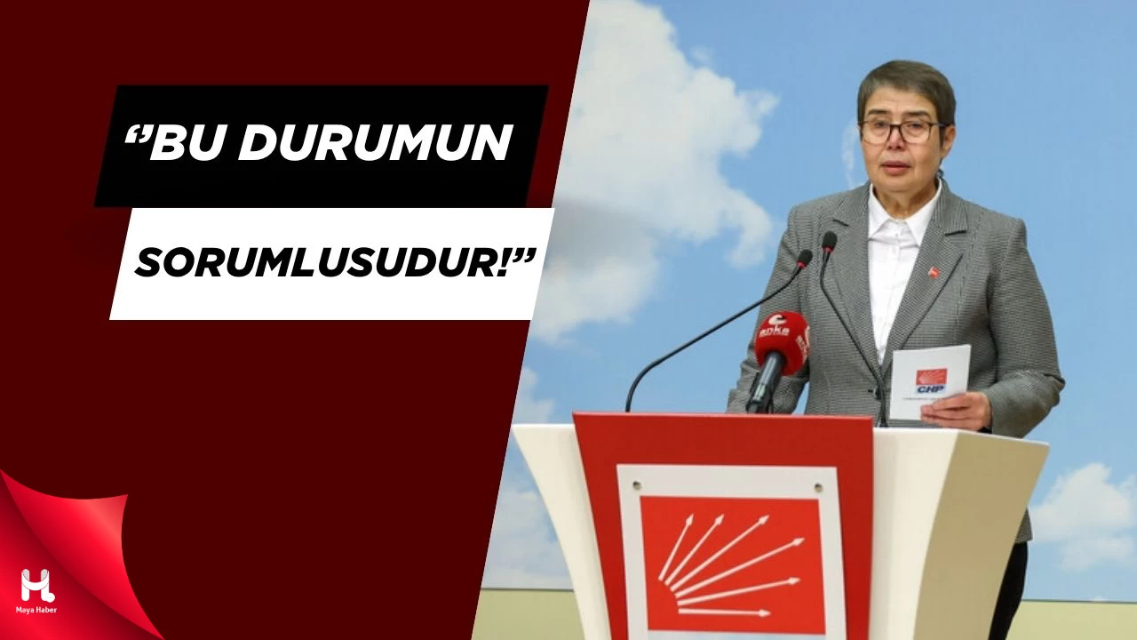 CHP'li İsimden 'Yenidoğan Çetesi' Açıklaması