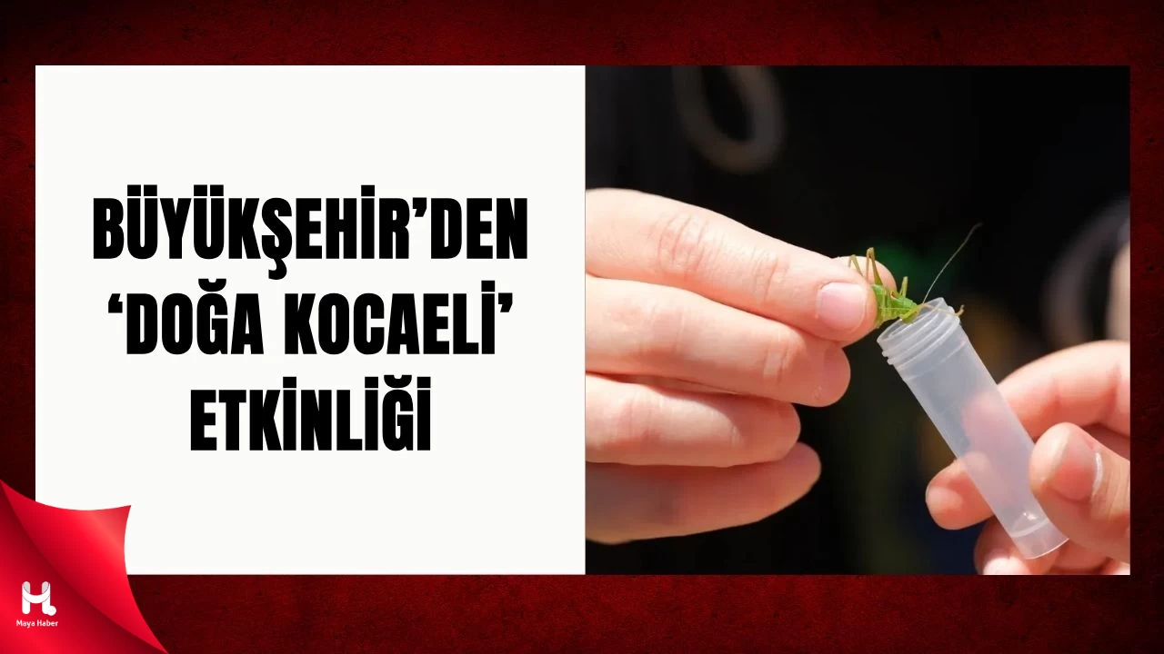 Kuzuyayla Tabiat Parkı’nda Doğaseverler 114 Türü Keşfetti