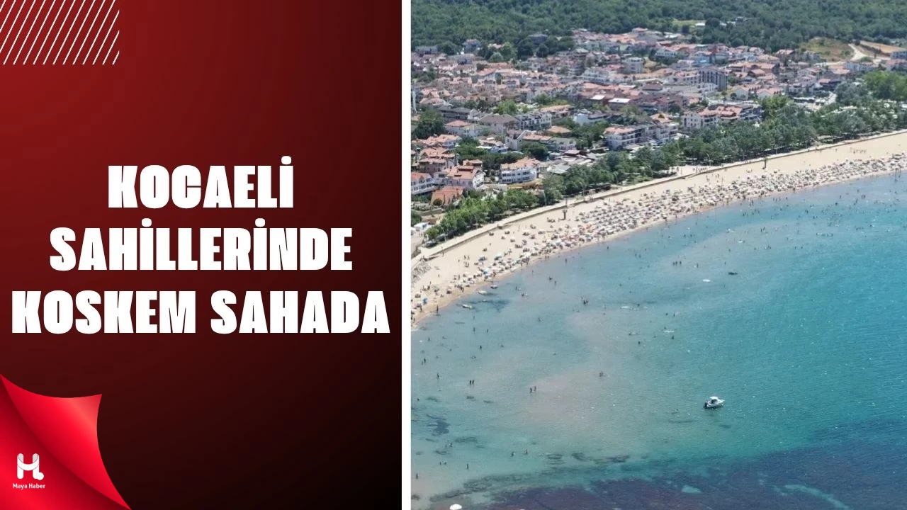 KOSKEM 1 Haftada 235 Can Kurtardı