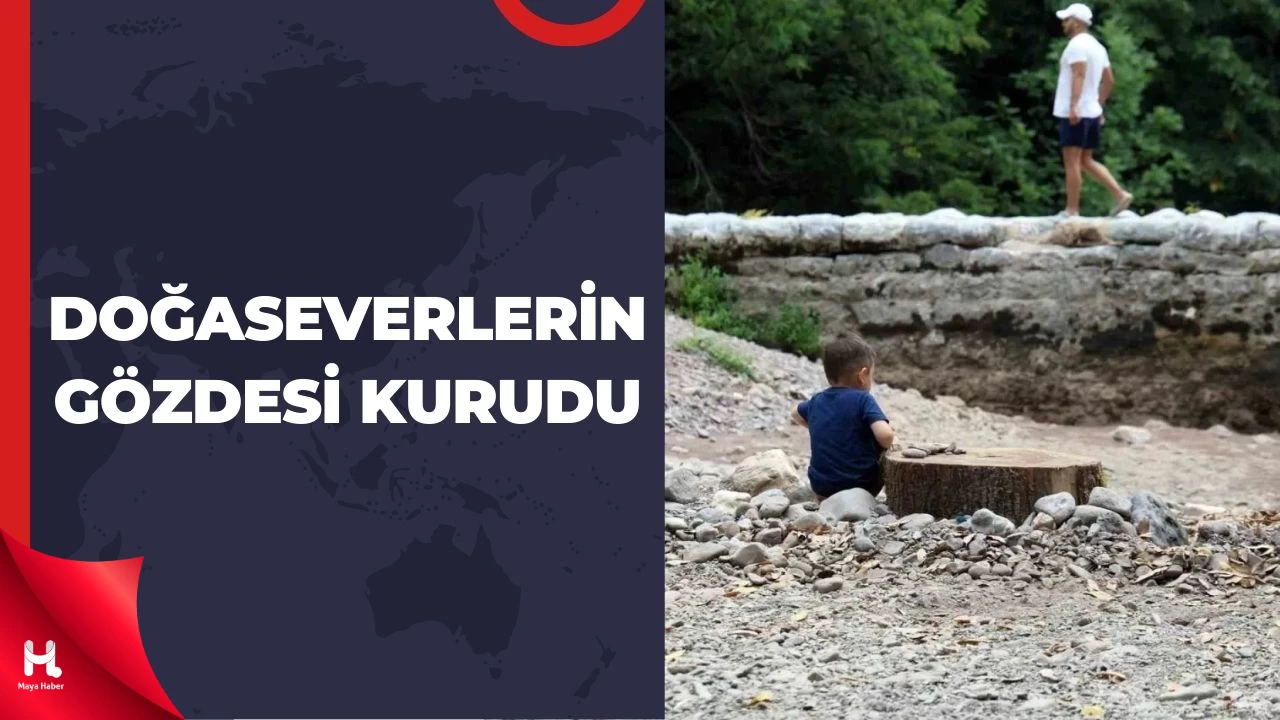 Sakarya'da Maden Deresi ve Şelalesi Kuraklıkla Yüzleşiyor