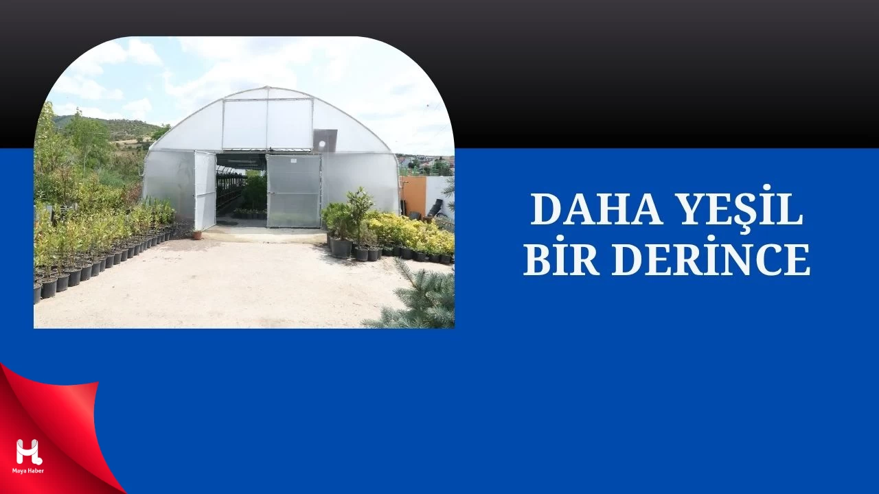 Derince Belediyesi Kendi Serasını Kurdu